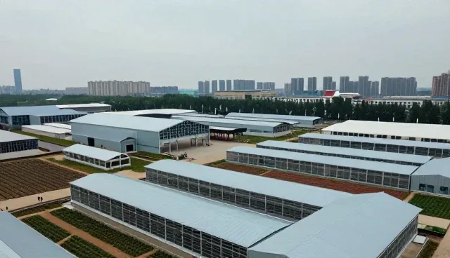 技术推广中的性能优化与适用场景分析